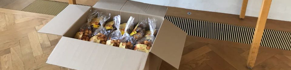 madeleines